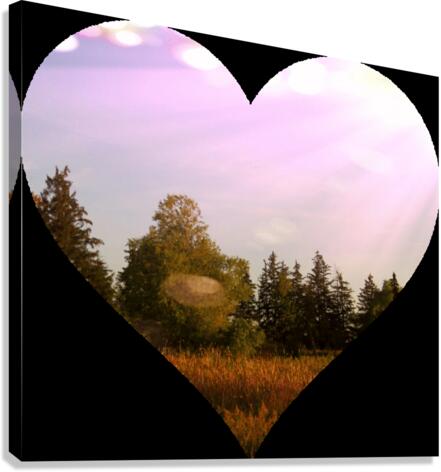 Heart (26) Canvas Print