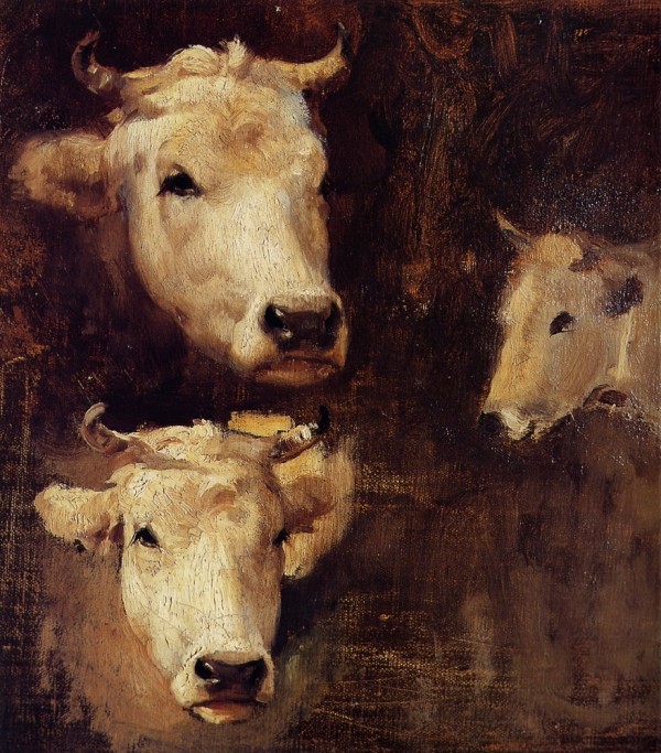 Oxen Print