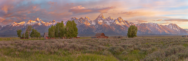 Mormon Row Sunrise by John Freeman