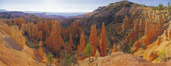 Morning Light at Fairyland Point by John Freeman