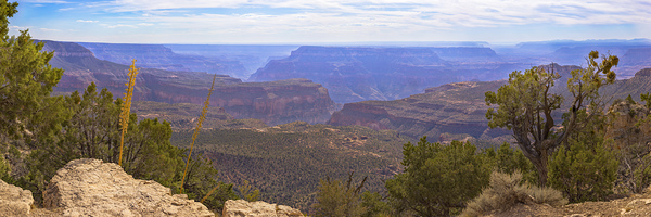 Crazy Jug Point   North Rim of Grand Canyon by John Freeman