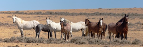 Entranced by John Freeman