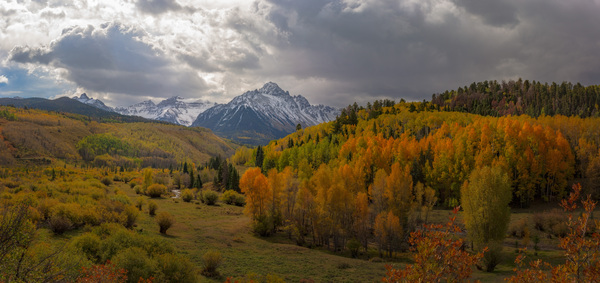 First Signs of Winter by John Freeman