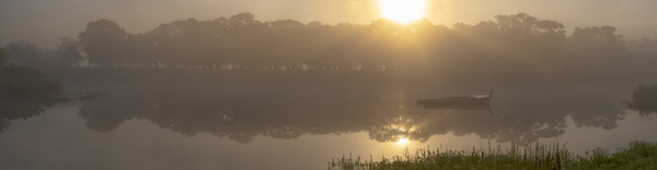 Foggy Bayou Sunrise by John Freeman