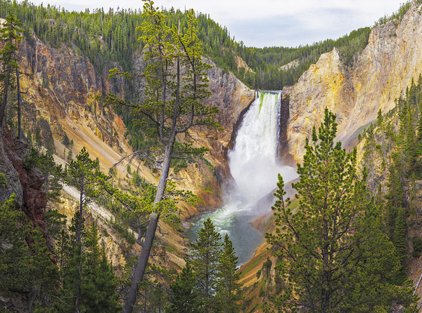 Lower Falls from Lower Lookout Point by John Freeman