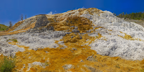 Mammoth Hot Springs Lower Terrace by John Freeman