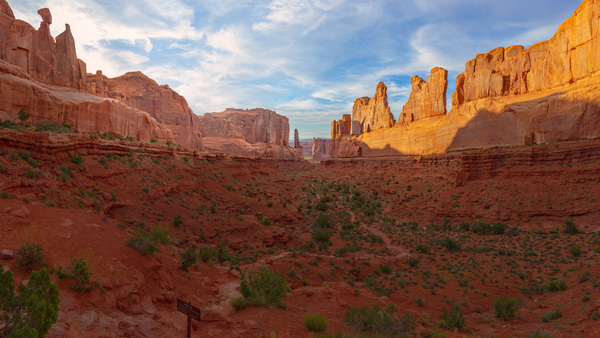  Park Avenue in Late Afternoon Light by John Freeman