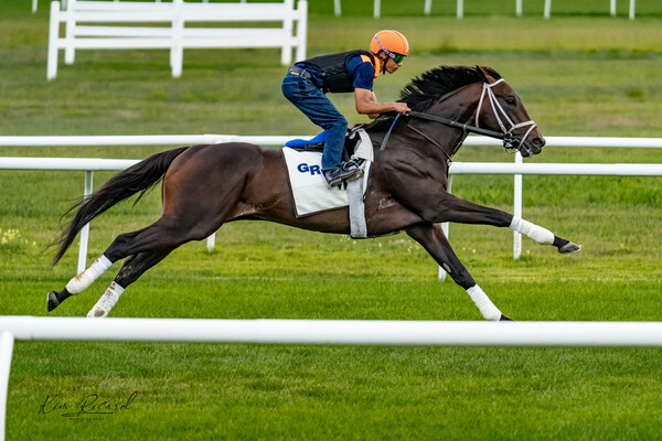 Morning Turf Breeze by Kim Ricard