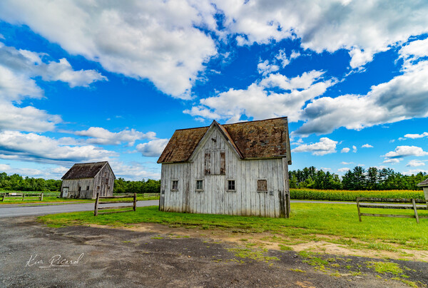 Old Sandford Farm by Kim Ricard