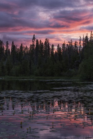 Sunset over a small beaver pond along the Yellowhead Highway near Smithers; British Columbia, Canada