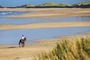 Horse and rider on beach with grassy sand dunes and blue sky; Count Clare, Ireland