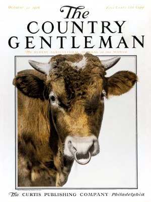 Cover of Country Gentleman agricultural magazine from the early 20th century. .