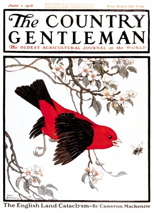 Cover of Country Gentleman agricultural magazine from the early 20th century. .