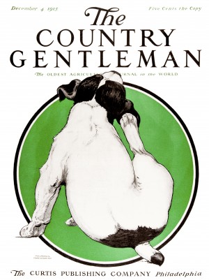 Cover of Country Gentleman agricultural magazine from the early 20th century. .