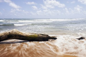 Driftwood and rocks at Lydgate Beach Park; Lydgate, Kauai, Hawaii, United States of America