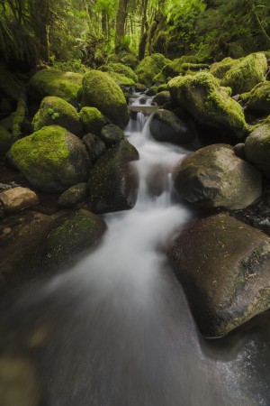Ruckel Creek; Oregon, United States of America