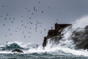 Waves crashing against the rugged rock coastline as birds fly overhead against a blue sky; La Isla, Tarifa, Costa de la Luz, Cadiz, Andalusia, Spain