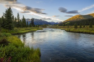 The Lapie River flows through the wilderness along the South Canol Road; Yukon, Canada
