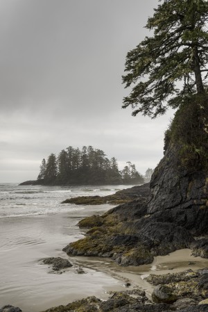 High tide along the coast on Vancouver Island; British Columbia, Canada