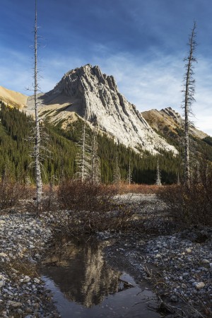 Mountain peak reflecting in still rocky stream in alpine meadow with blue sky and clouds, Kananaskis Provincial Park; Alberta, Canada