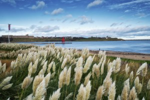 Littlehaven Bay and Herd Groyne Lighthouse; South Shields, Tyne and Wear, England