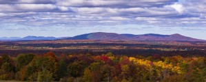 Mountain range in autumn colours with autumn coloured forest in the foreground; West Bolton, Quebec, Canada