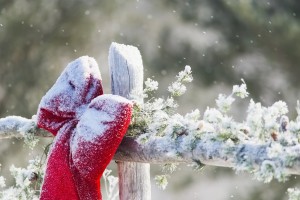 Fresh snow on holiday bow and decorations on fence post, Christmas season; Minnesota, United States of America