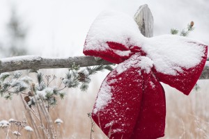 Fresh snow on holiday bow and decorations on fence post, Christmas season; Minnesota, United States of America