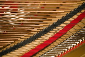 Close Up Of Piano Strings