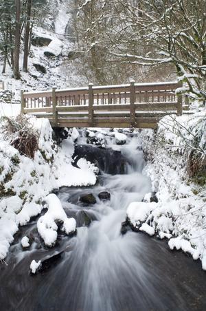 Waukeena Creek, Columbia River Gorge, Oregon, Usa