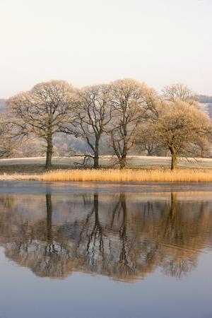 Cumbria, England; Lake Scenic With Autumn Trees Reflected In Water