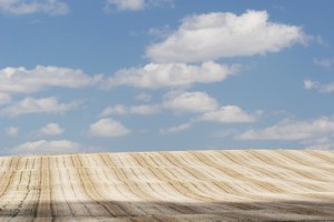 Alberta, Canada; Cut Brown Field With Clouds In The Sky
