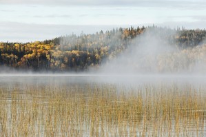 Mist Over A Lake In Autumn; Ontario, Canada