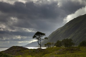 Dark Clouds Over A Landscape Along The Coast; Ardnamurchan, Argyll, Scotland
