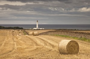 Barns Ness Lighthouse Along The Coast And Hay Bales In A Field In The Foreground; Lothian, Scotland
