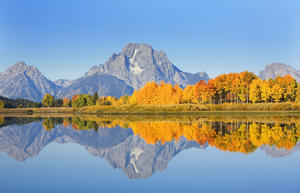 USA, Grand Teton National Park; Wyoming, Mount Moran In Distance, Landscape Of Oxbow Bend On Snake River