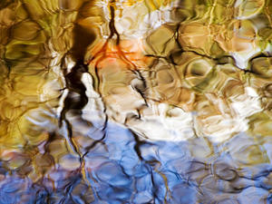 Elementals, Massachusetts, Seekonk, Caratunk Wildlife Refuge, Colorful Glassy Reflections On Water.