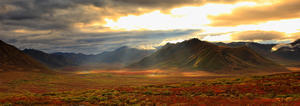 Panoramic Image Of Late Afternoon Sunlight Shining Between Storm Clouds On The Fall Colours Along The Dempster Highway, Yukon