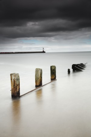 Wooden posts in the tranquil water;Berwick northumberland england