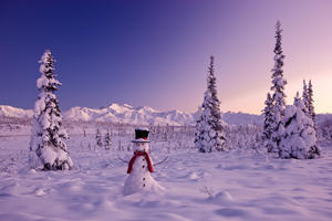 Snowman At Sunset, Snow Covered Spruce Trees, Winter, Chugach Mountains In The Background, Glenn Highway, Alaska Usa.