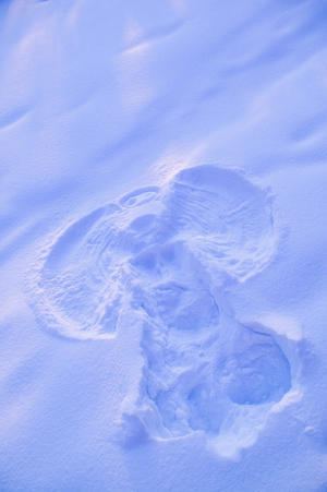 Close Up Of Snow Angel At Sunset With Blue And Pink Highlights Winter Fairbanks Interior Alaska