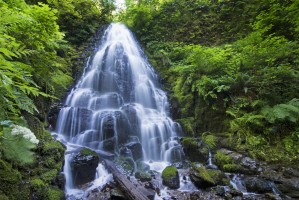 Waterfall with lush foliage;Oregon united states of america