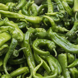 Green chilli peppers;Lhasa xizang china