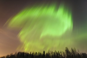The northern lights above a forest;Anchorage alaska united states of america