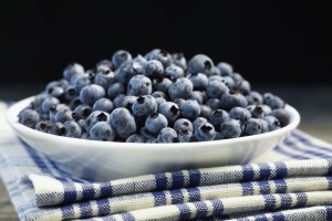 Bowl of blueberries; Quebec, Canada