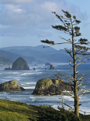 Haystack Rock viewed from Ecola Point; Cannon Beach, Oregon, United States of America