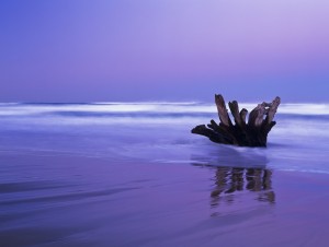 Waves break on the beach at dawn; Winchester Bay, Oregon, United States of America