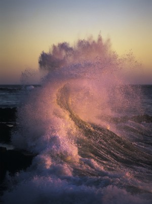A wave glowing pink breaks on the shore at sunset; Yachats, Oregon, United States of America