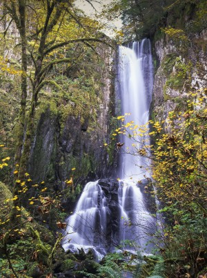 Lower Kentucky Falls, Siuslaw National Forest; Florence, Oregon, United States of America