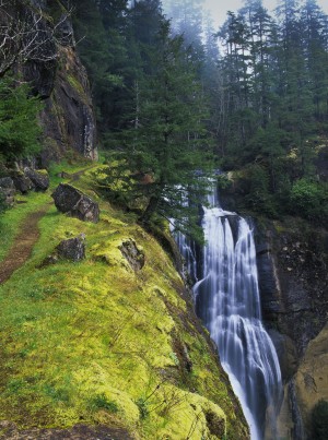 Golden Falls plunges over the cliffs; Allegany, Oregon, United States of America